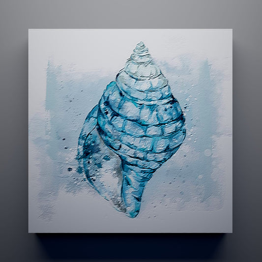 Conch Whisper